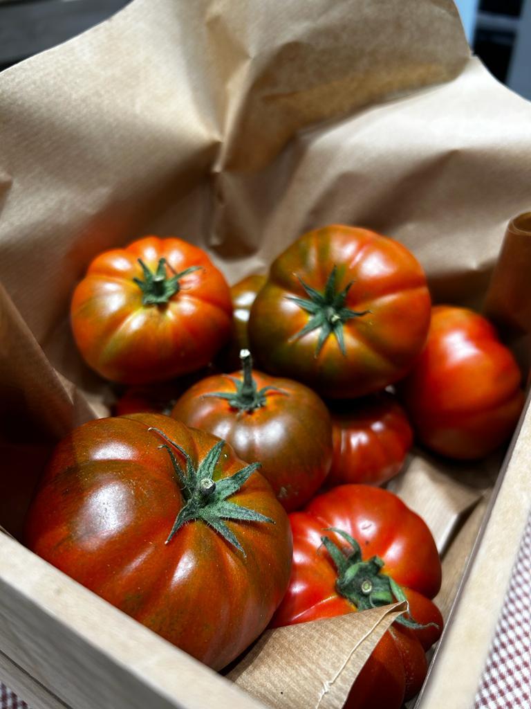tomates ultramarinos natalia